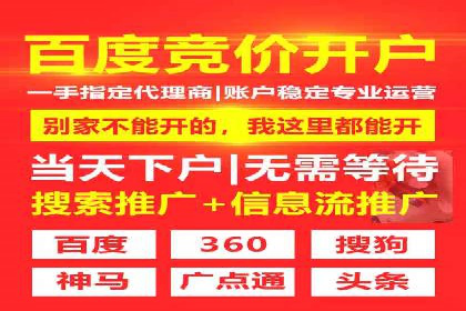 成功案例解析：SEM托管公司服务优势